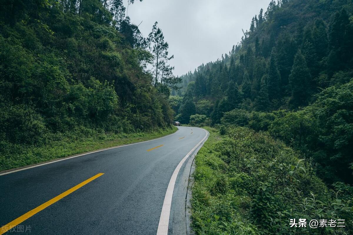 女作家去做保姆婚姻真相,女作家去做保姆这些年