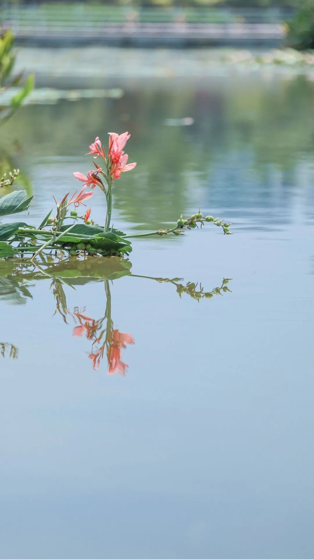 我为什么建议你来北上广深奋斗,我为什么建议你留在一线城市