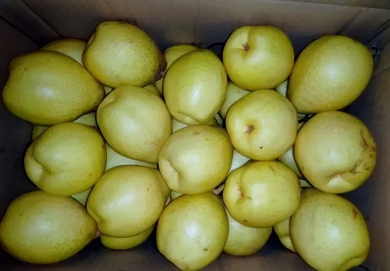 肺里有炎症能吃大虾吗,肺不舒服可以吃大虾吗