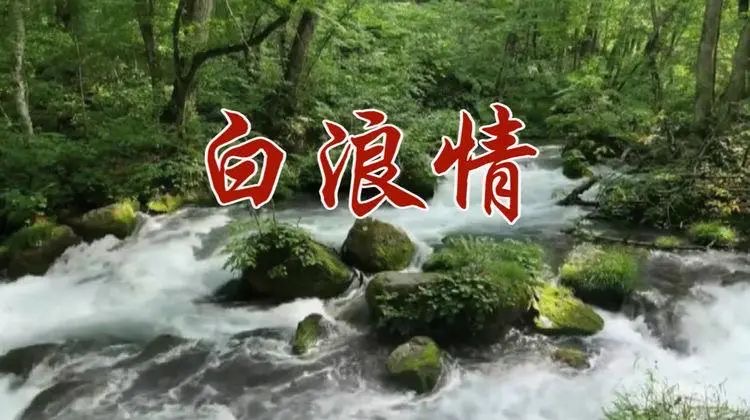 铁道兵战友诗30首,铁道兵退伍战友聚会诗