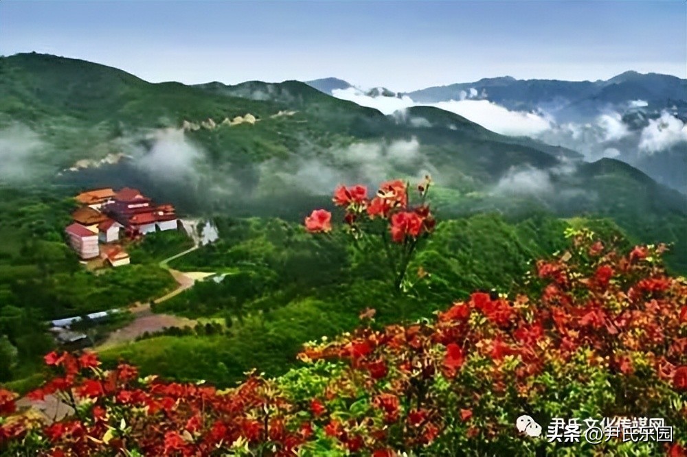 和美阳明·盛世花开：天下第一“和山”