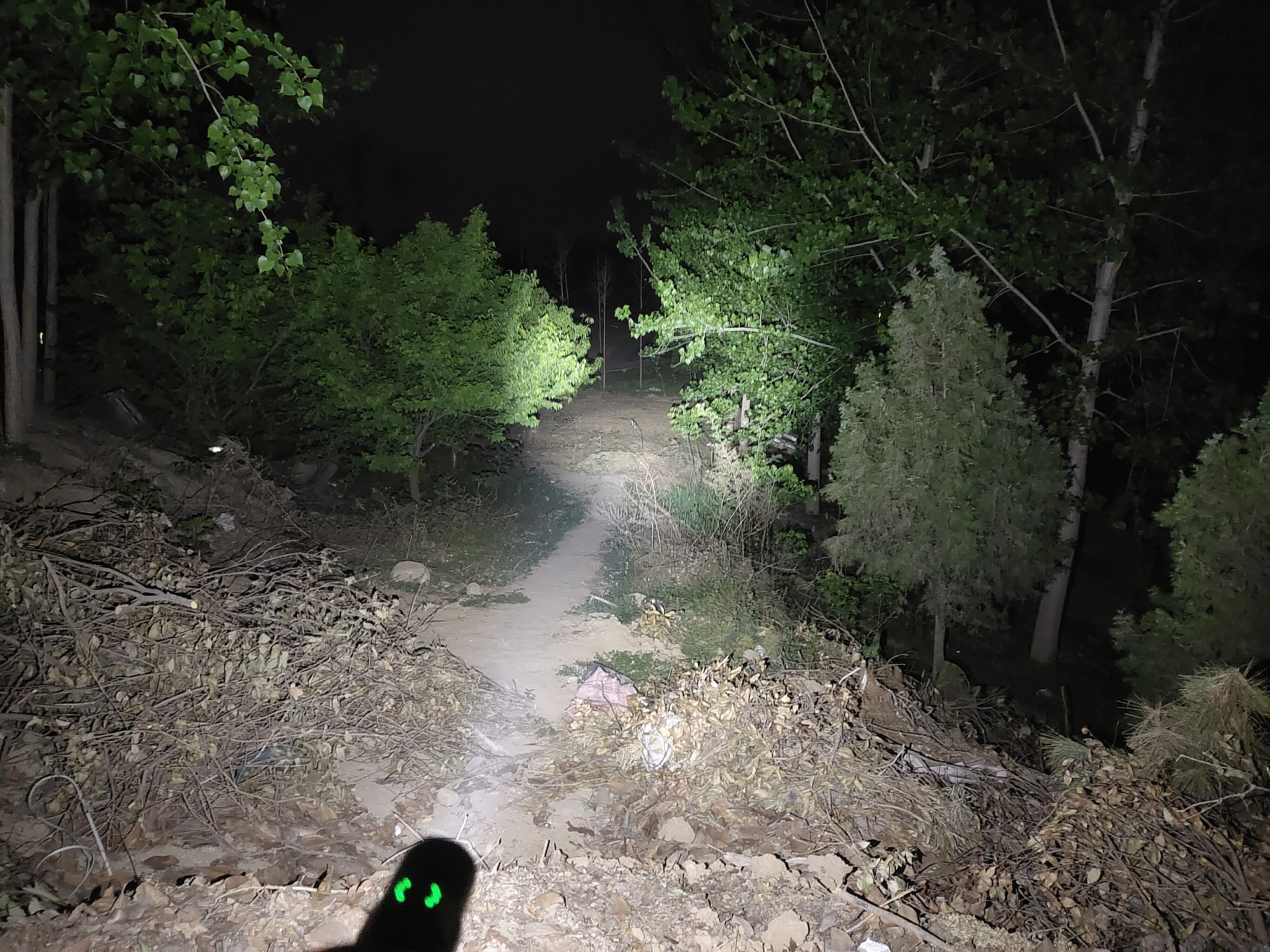 鍌查浄warrior3s,鍌查浄姝﹀＋warrior3s