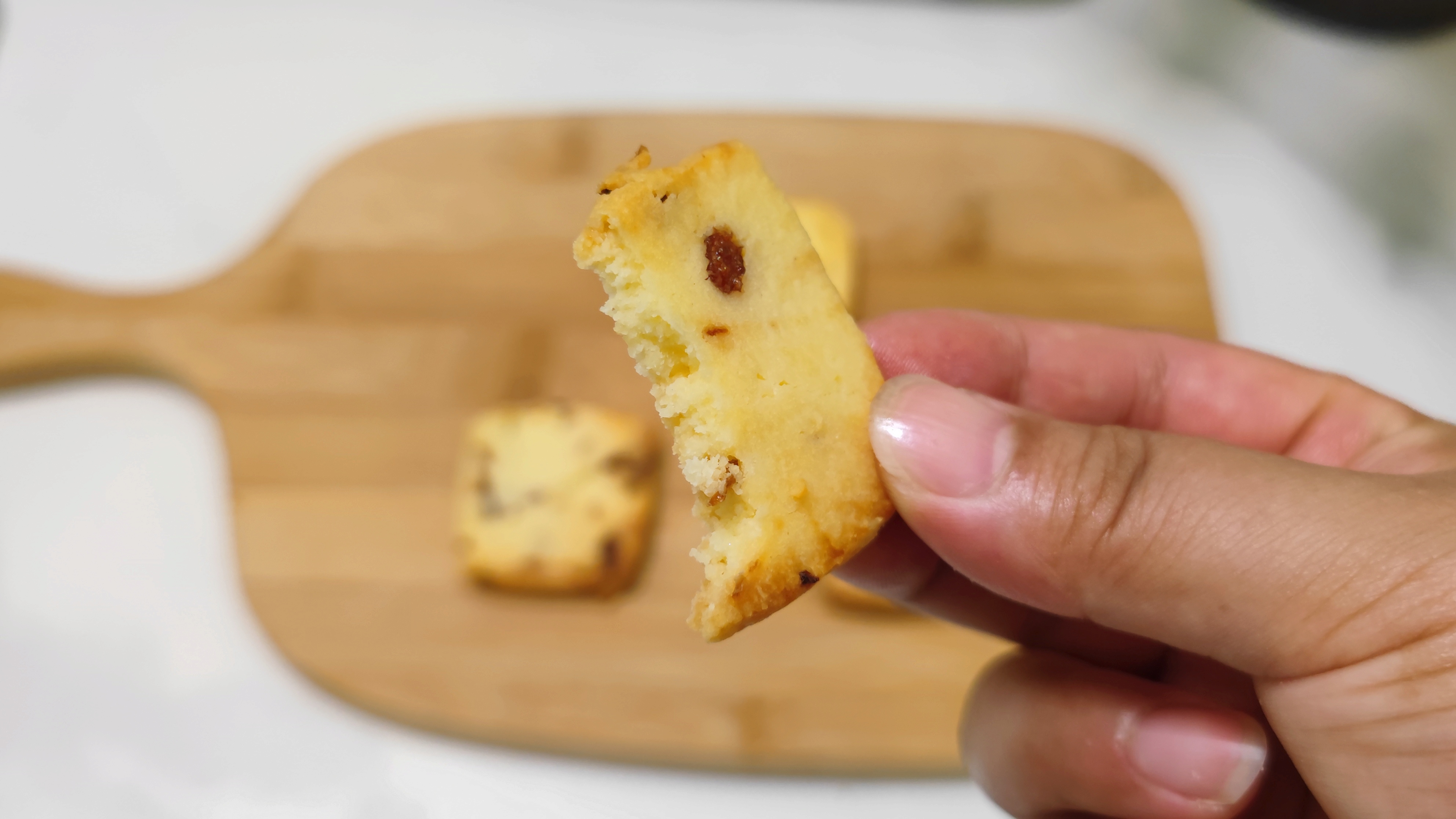 长帝大白鲸烤箱使用方法视频教程,长帝大白鲸哪个烘焙博主用