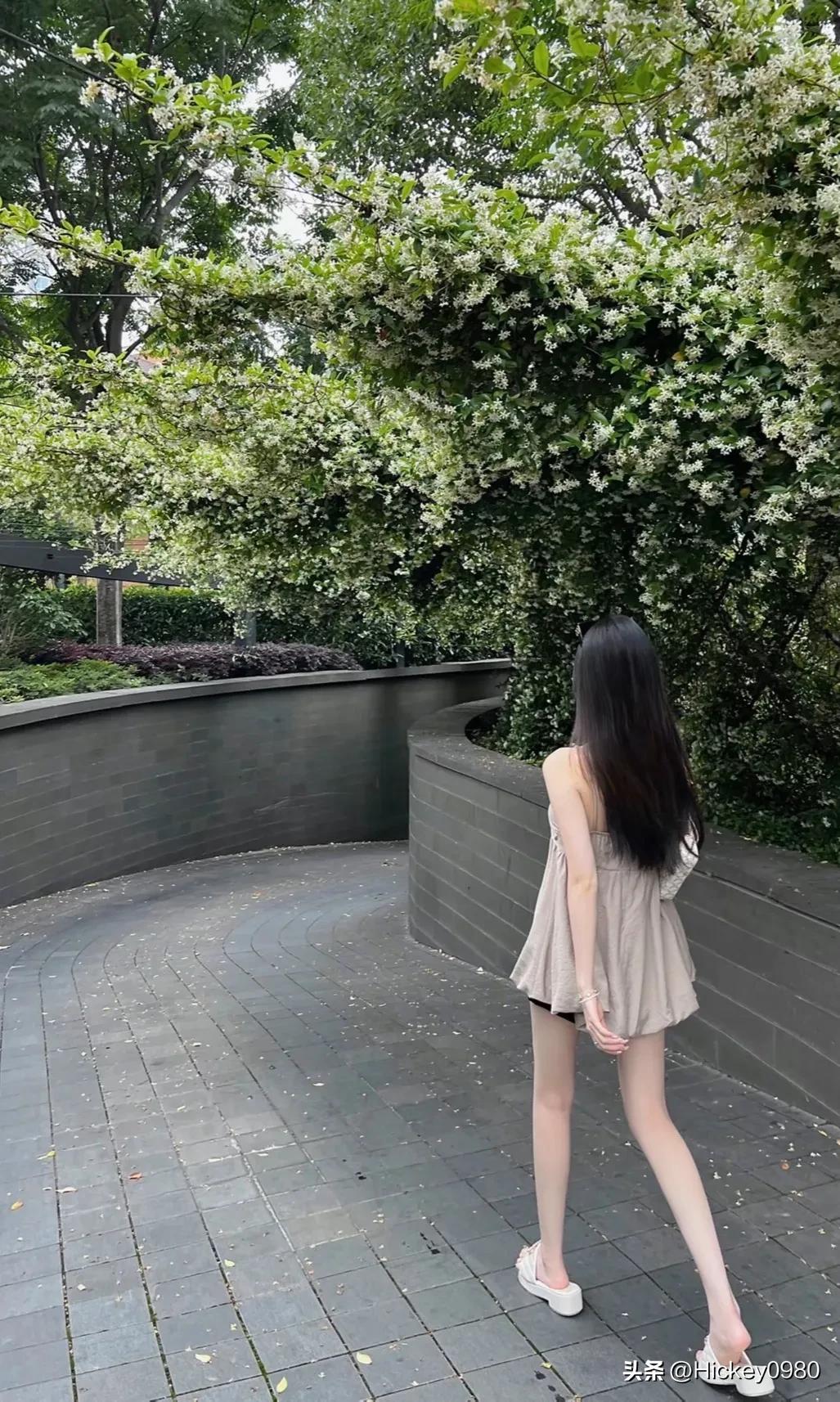 你的离去又给我们蒙上了一层阴霾,你的离去是我一生的思念和眷恋