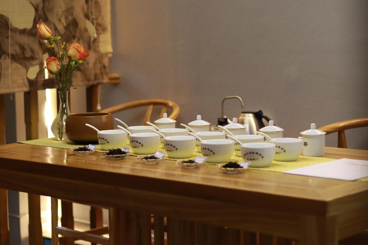 春季必备的好茶你准备好了吗,春季热门茶饮品有哪些品种