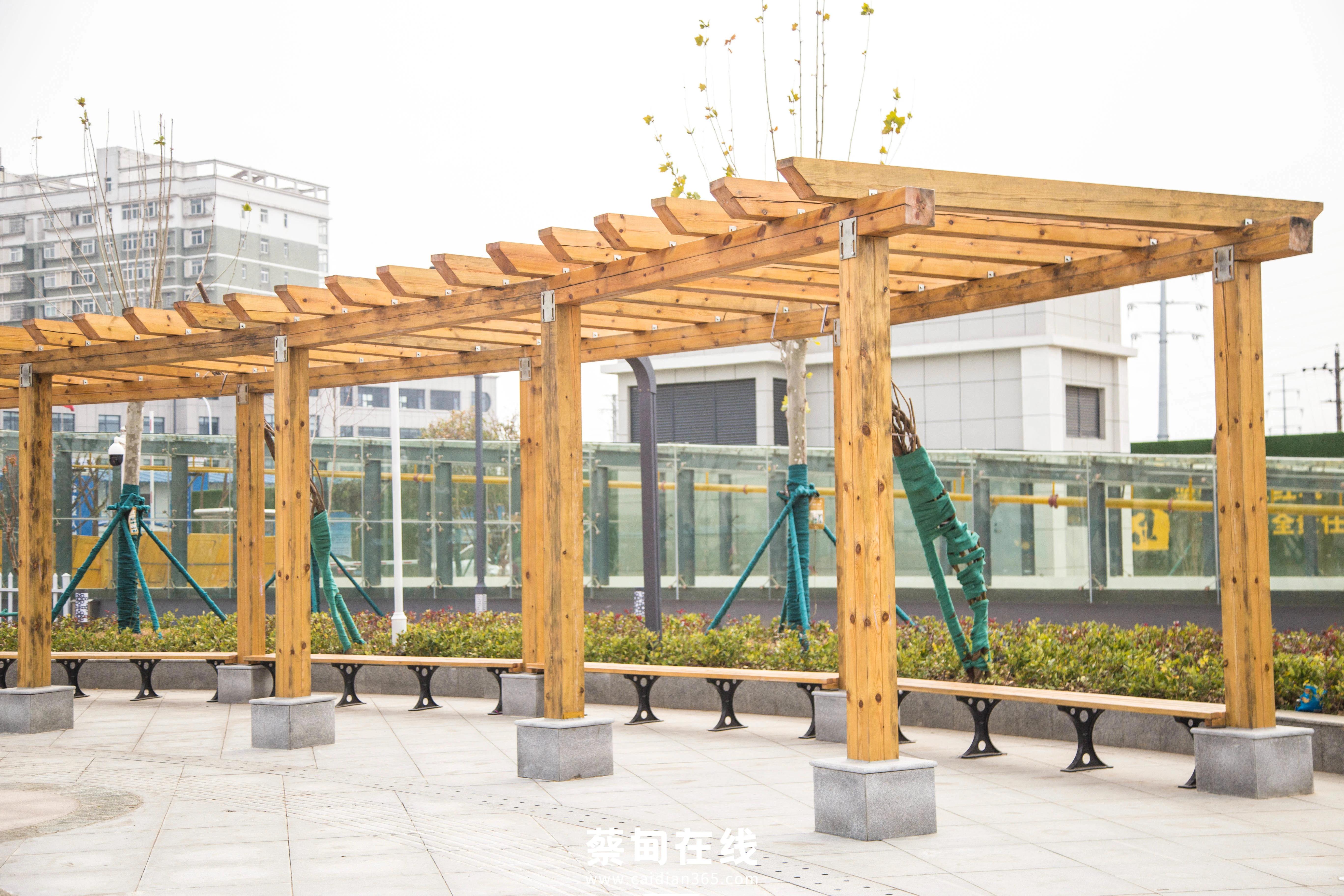 武汉气温回升,武汉气温回暖最新消息