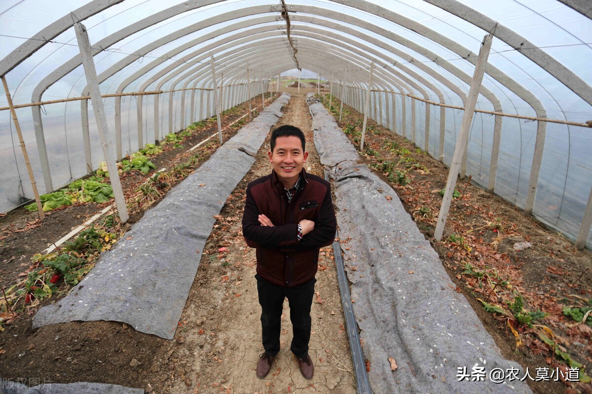 疫情过后农业发展怎么办,疫情下的农村农民干什么能挣钱