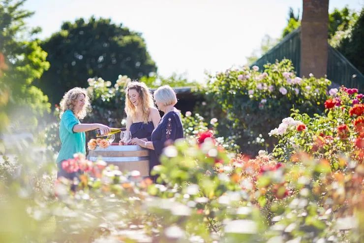 堪培拉移民表,堪培拉精算移民配额