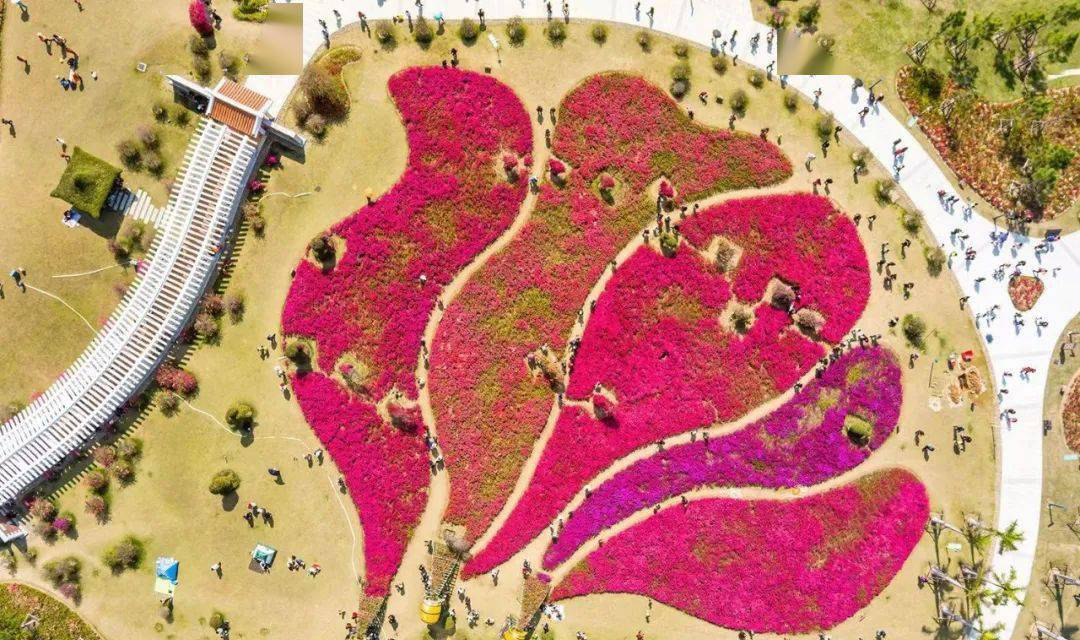 厦门最大免费公园,厦门有没有免费开放的足球场