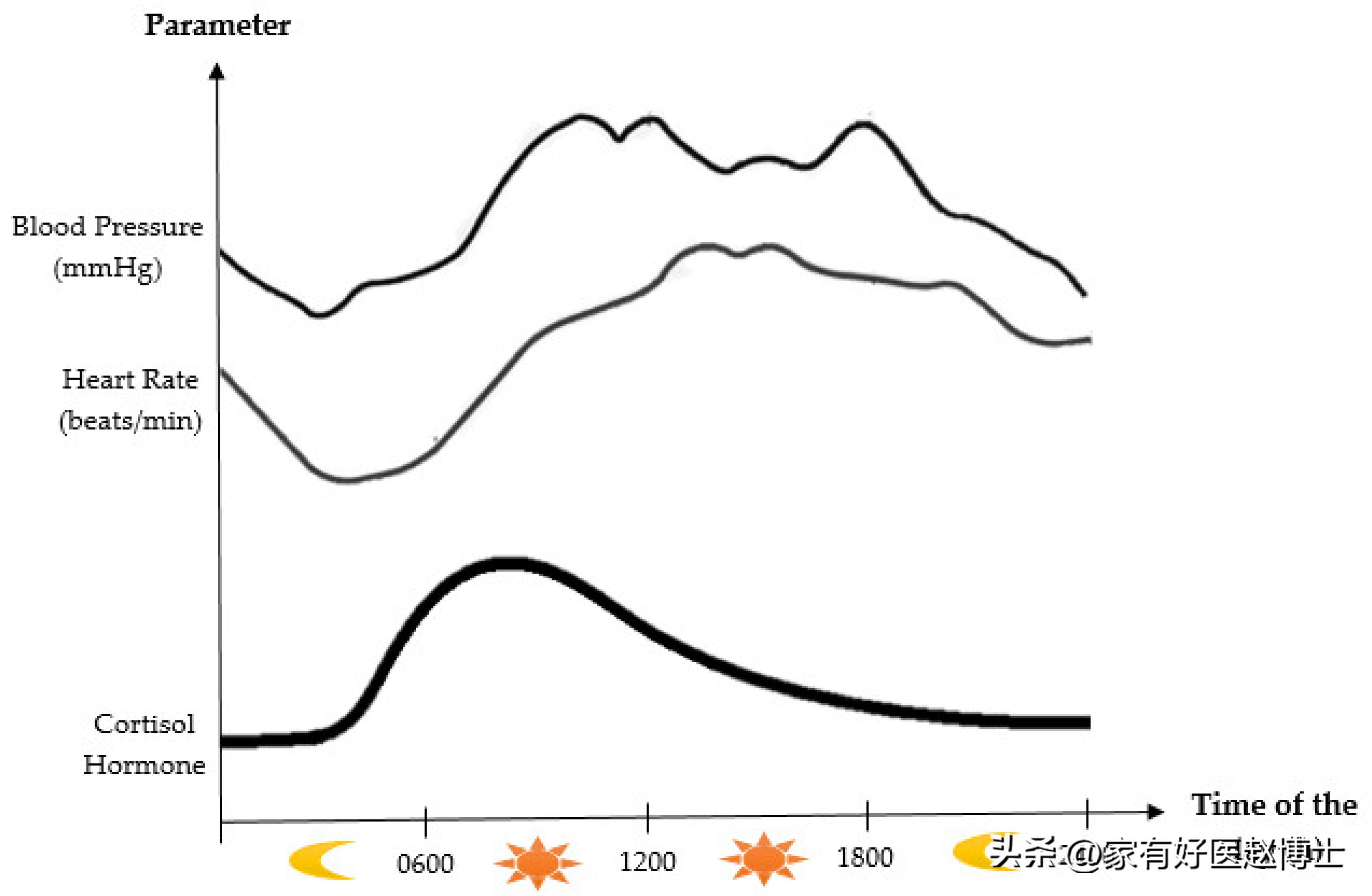 吃降压药血压降到70-100正常吗,吃降压药后血压在60到100正常吗