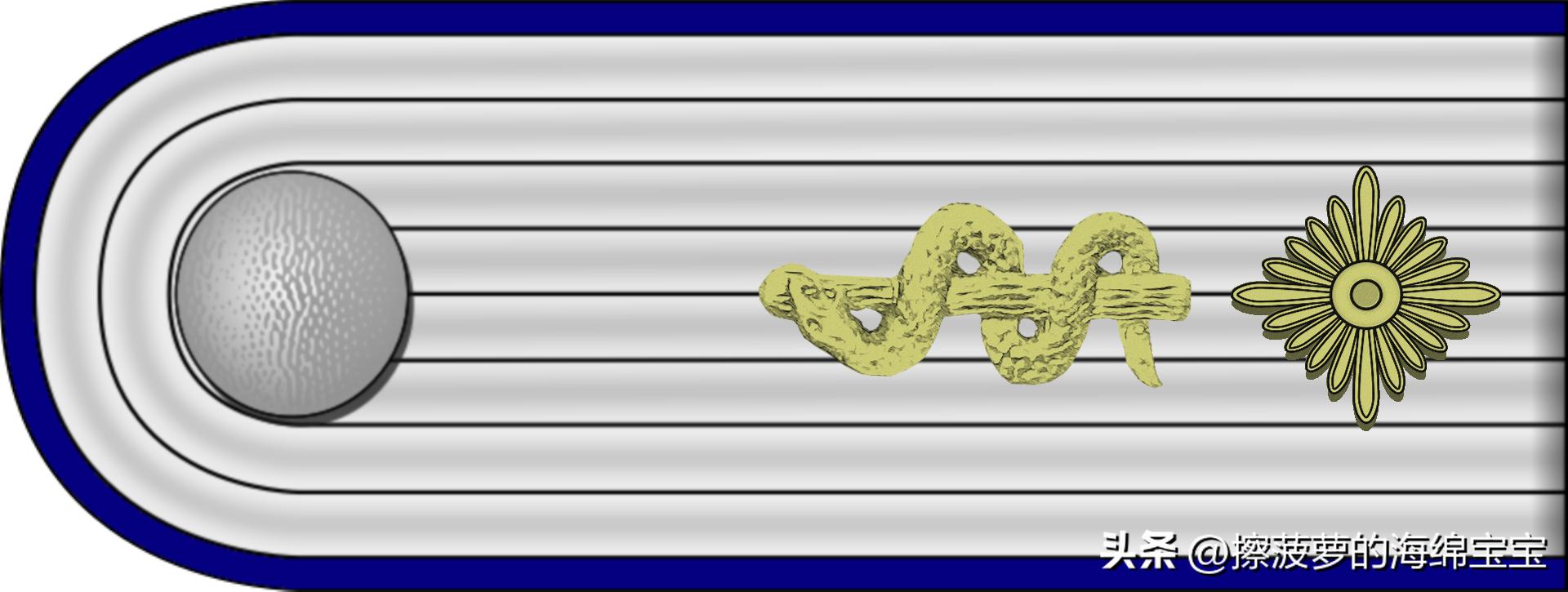 二战德国国防军医疗兵军衔标志