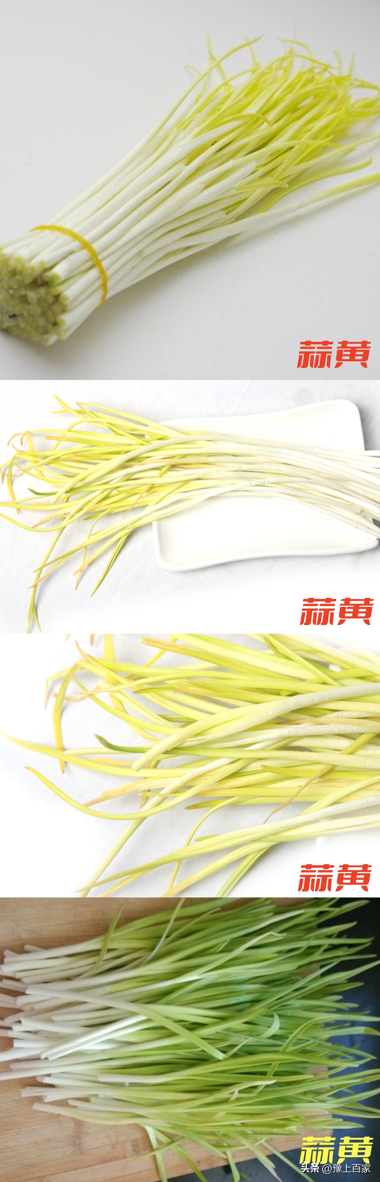 独头大蒜和普通大蒜的区别,脖子上套大蒜有什么科学依据吗