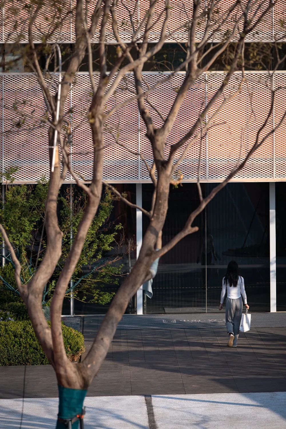 把家弄成游乐园是什么样的,把家打造游乐场是什么体验