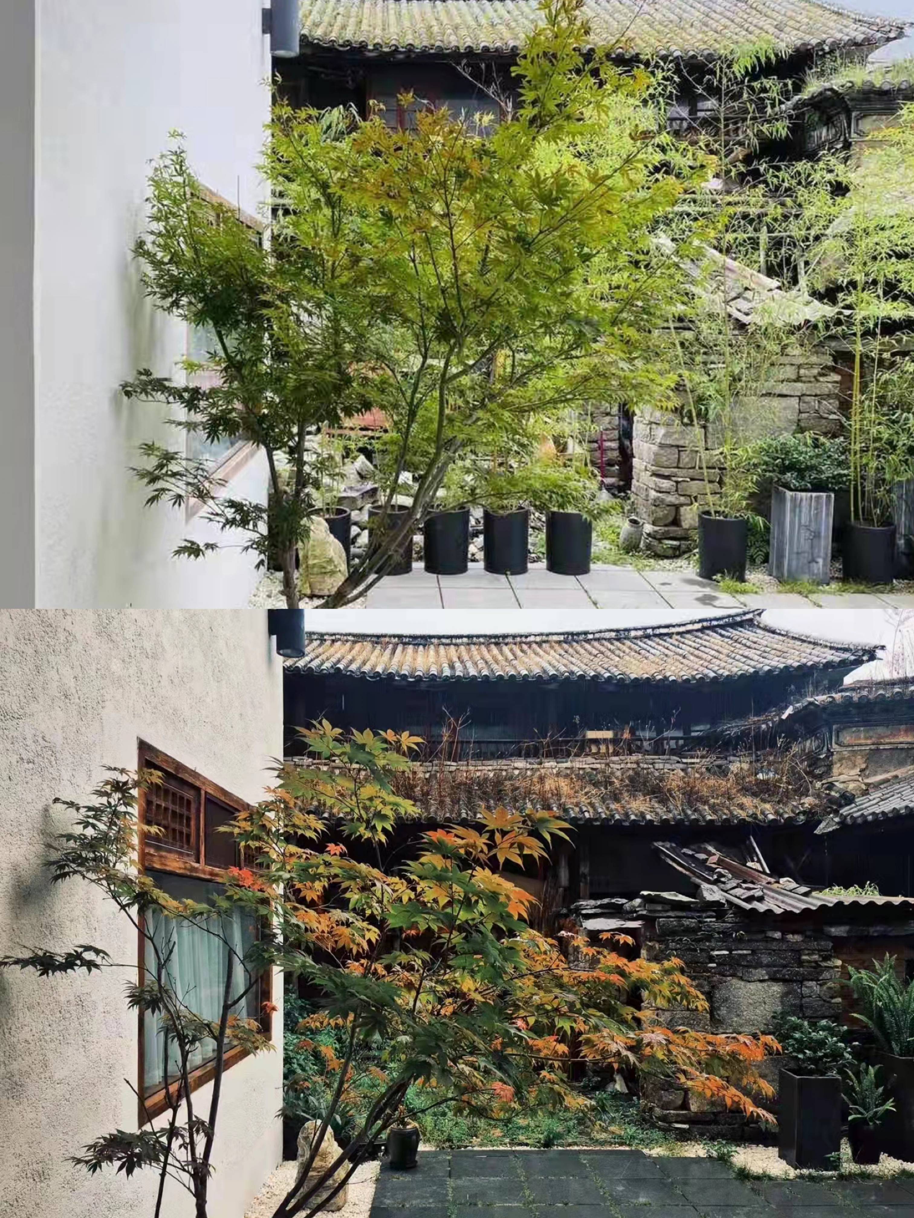 援鄂抗疫20岁护士哭了,援鄂抗疫一线医护人员感人瞬间