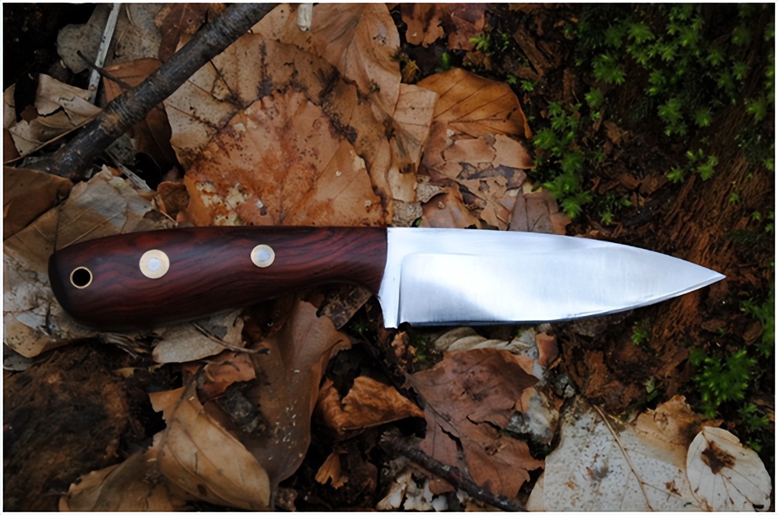 刀柄材料哪种好,刀柄最好的木料