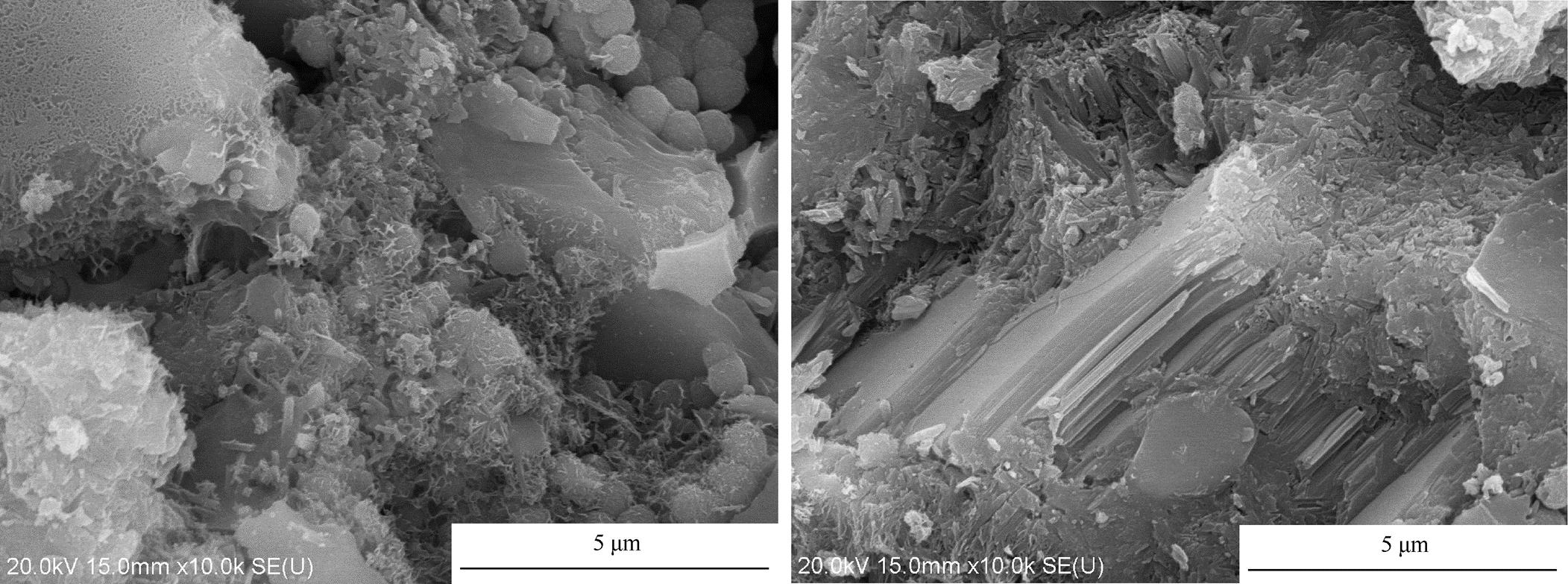 低热水泥混凝土,低热硅酸盐水泥