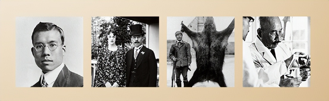 日本威士忌火爆全球的原因是什么,日本威士忌为何深受追捧