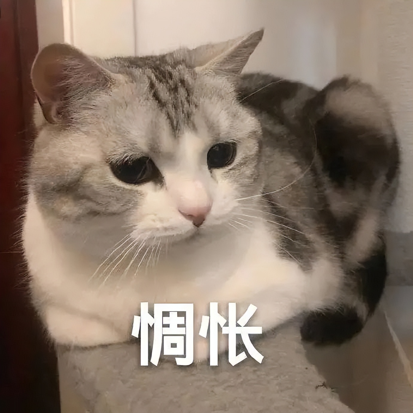 装修公司的监理怕谁管,装修监理怎么对付业主