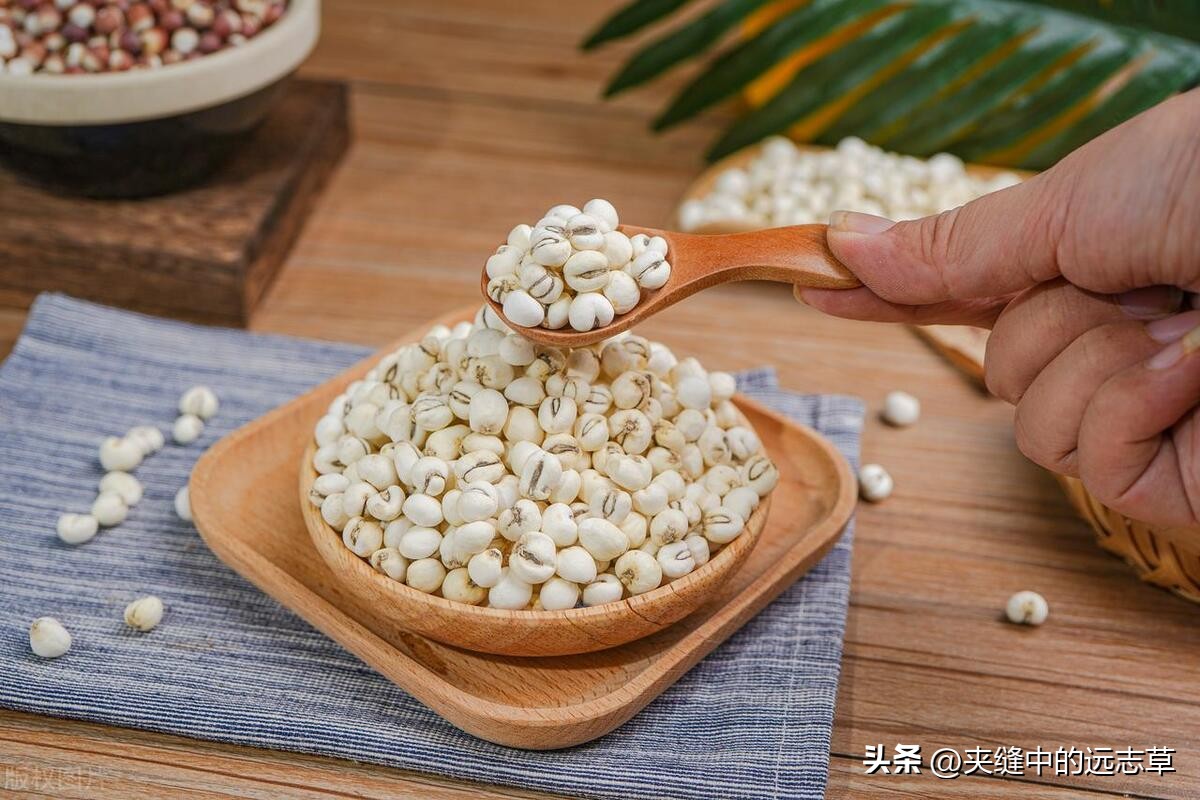 二阳咳嗽咳痰吃什么中成药,白痰和黄痰是火还是寒如何治疗