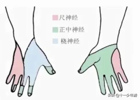 周围神经病和外周神经病,周围神经病