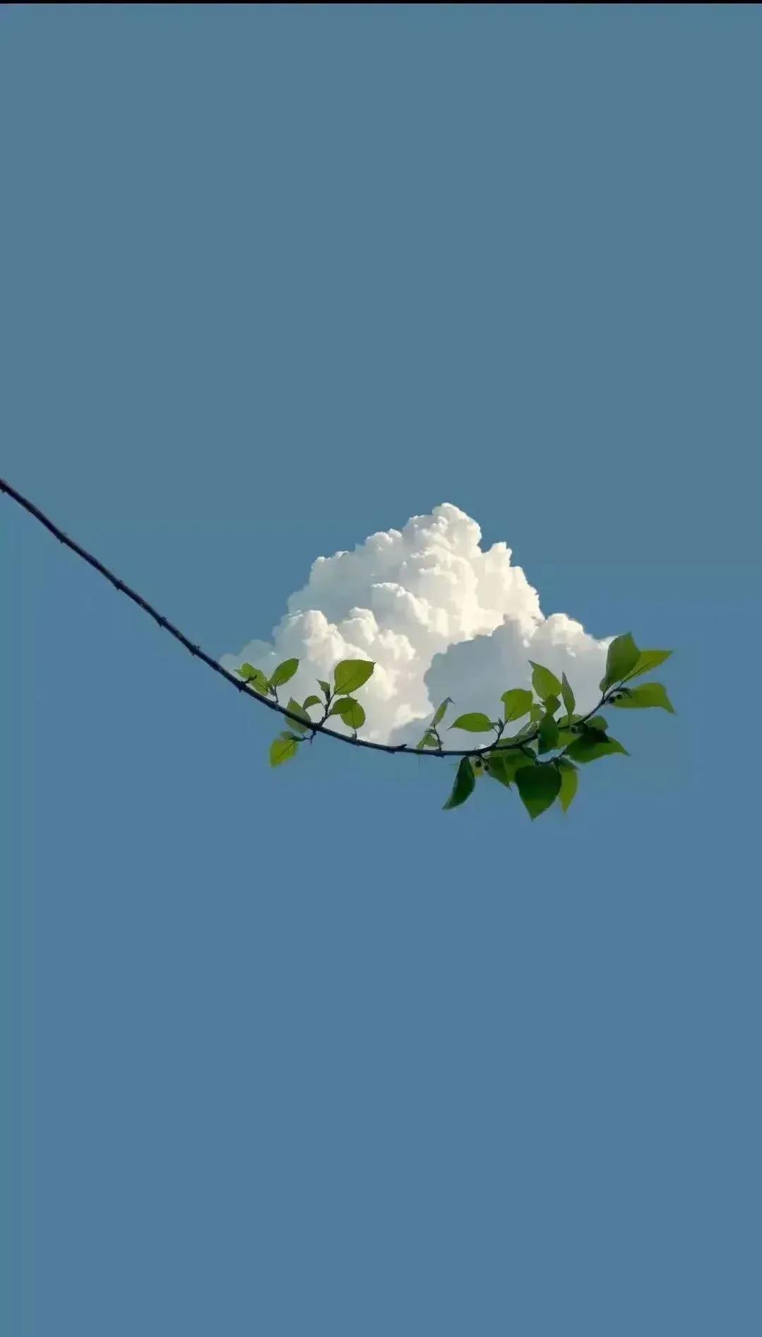 散文中的人生,散文欣赏人生