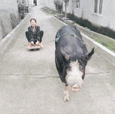 女朋友说她不能穿比较紧的衣服，我瞬间就懂了，效果原来是这样的