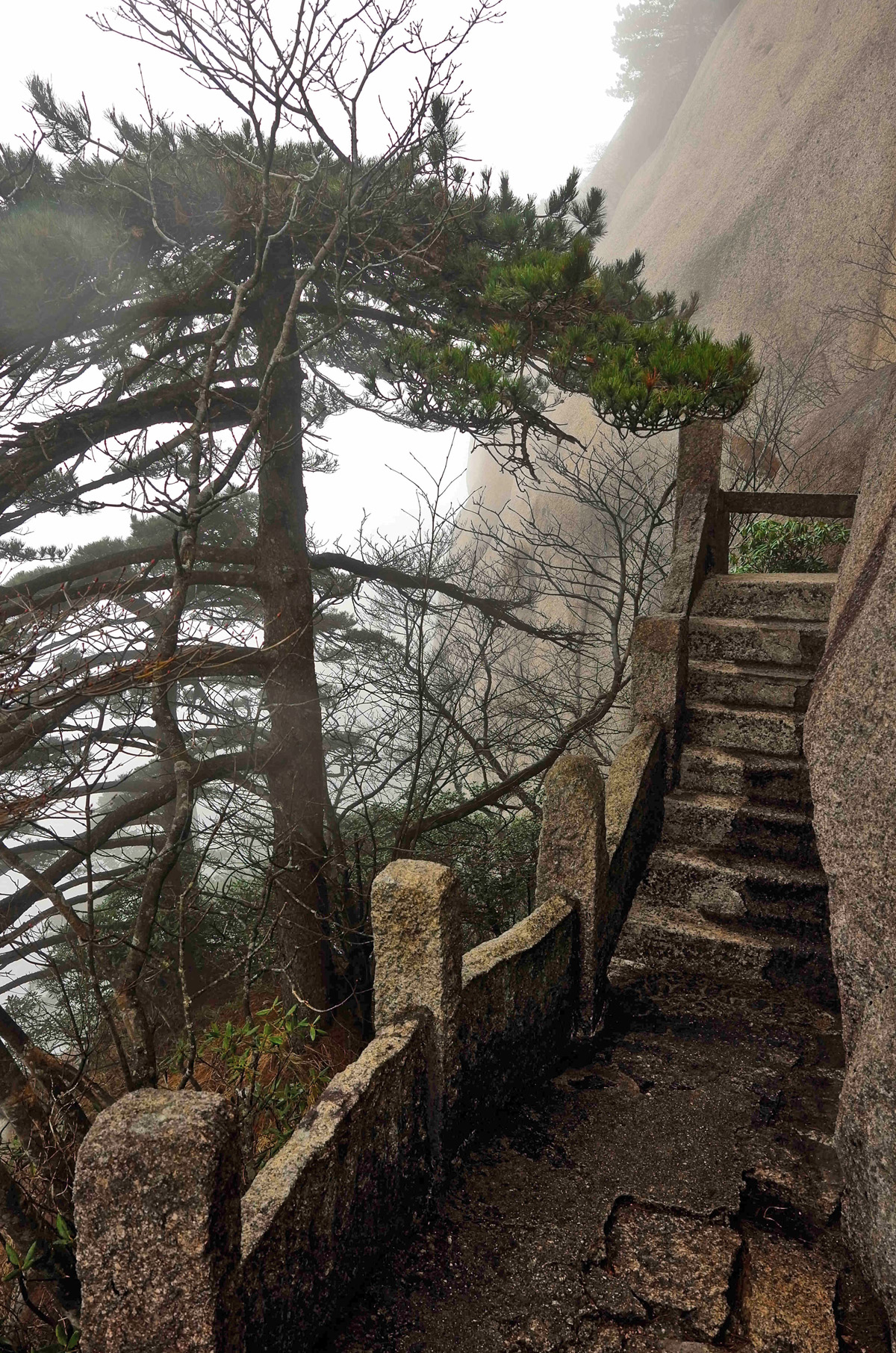 黄山慈光阁到玉屏楼步行多久,爬黄山从慈光阁开始的攻略