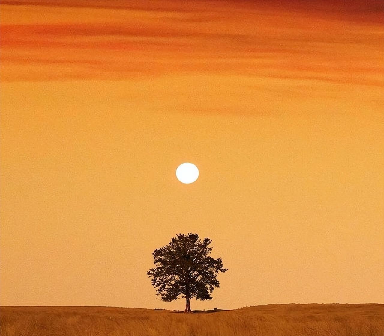 关于风景的诗词句子大全,诗句中描写山水风景最美的句子