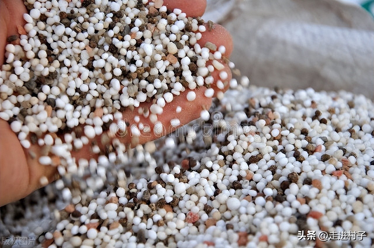 种菜有机水肥怎么施最好,给菜苗施尿素距离根部多远比较好