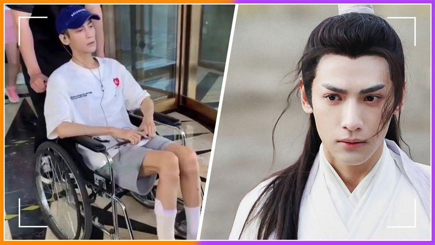 新晋网红电子小猪,网红电子小猪是怎么火的