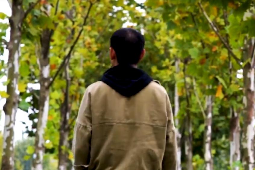 李鑫高考状元,清华糖友李鑫