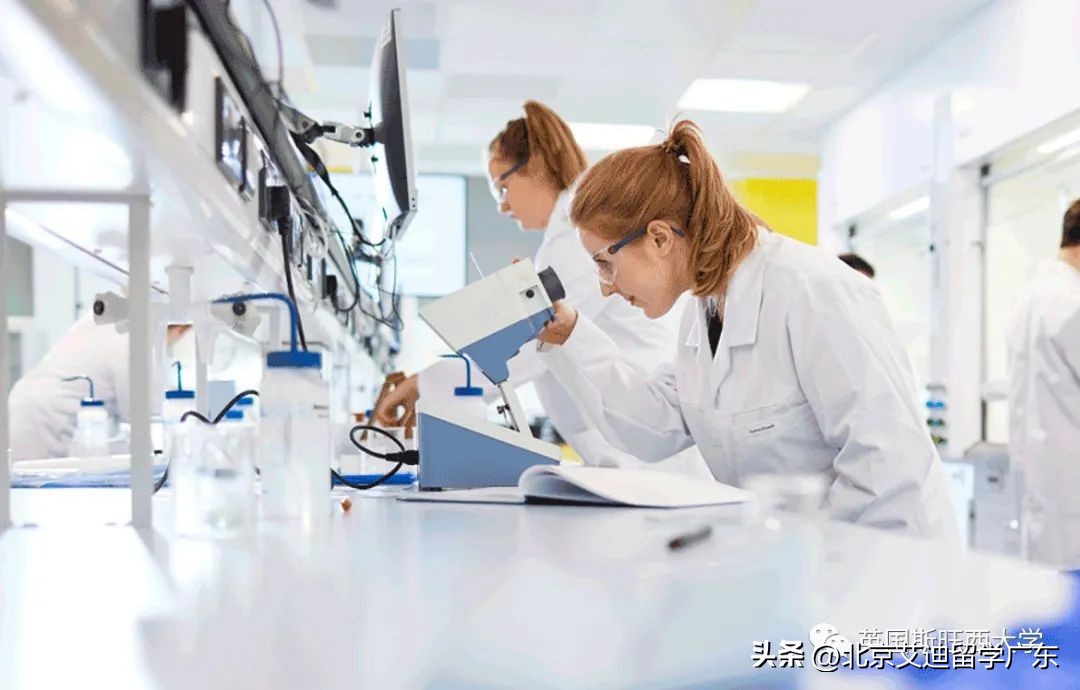 qs最新2023年大学世界排名,斯旺西大学世界排名2024