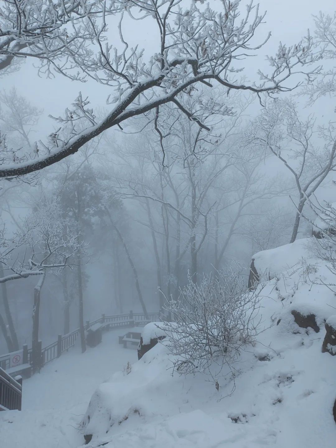 雪落成白墨影成殇,零落成妆