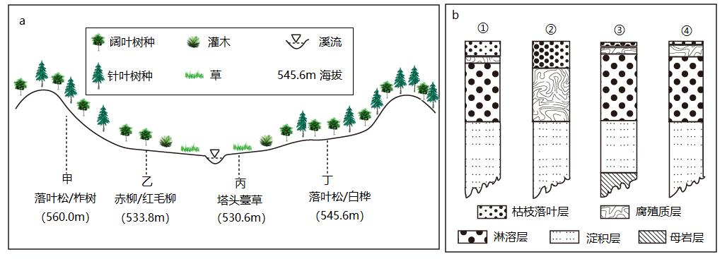 备战2023年高考地理一轮复习考点-19土壤
