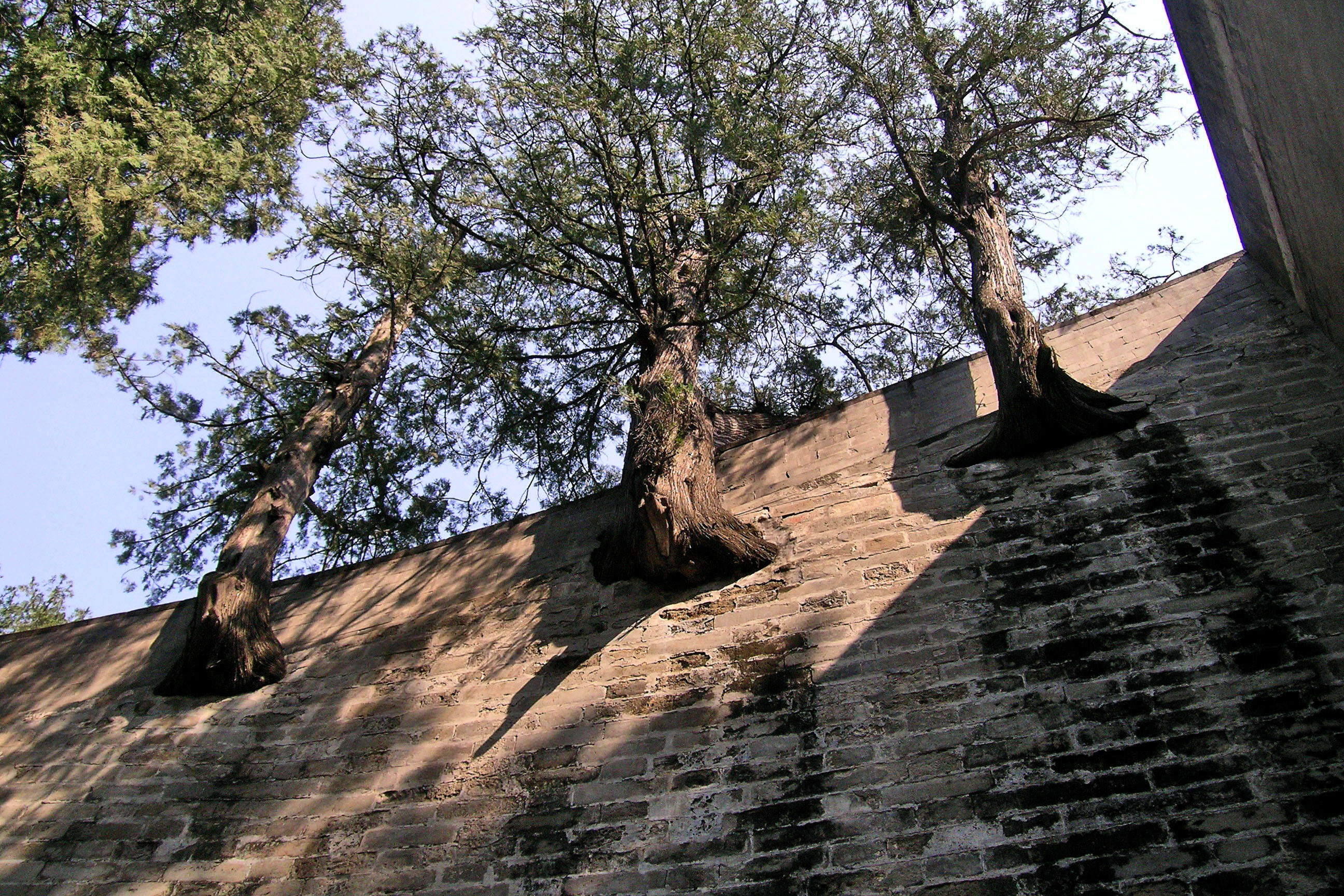 十三陵长陵殉葬,给爷爷下葬