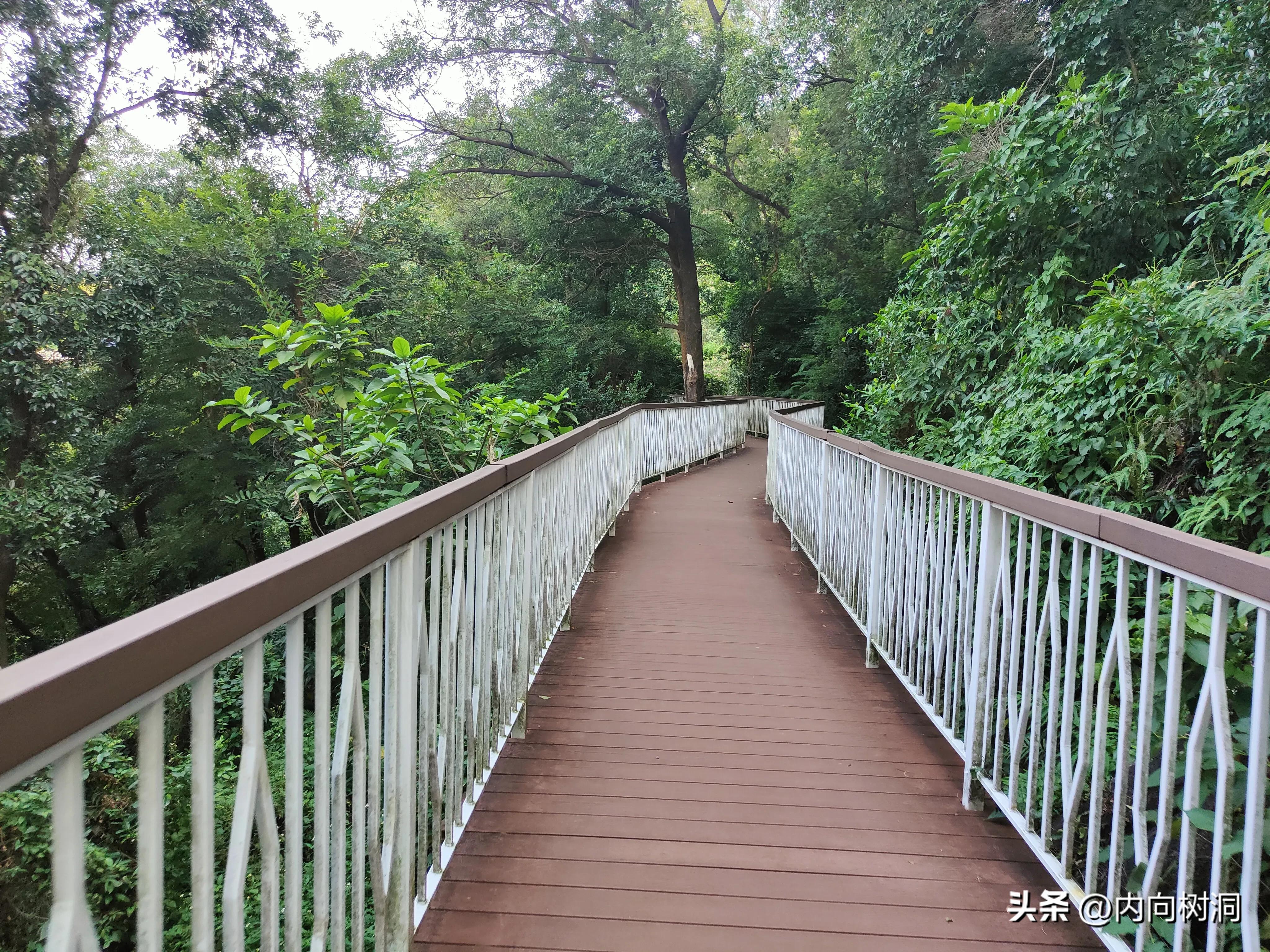 淘金山求水山徒步线路,求水山淘金山绿道在哪里