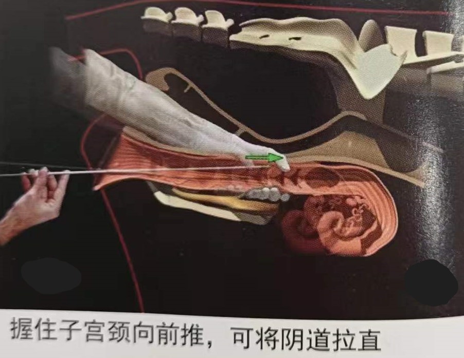 如何提高母牛同期的繁育能力,如何提高母牛受孕率