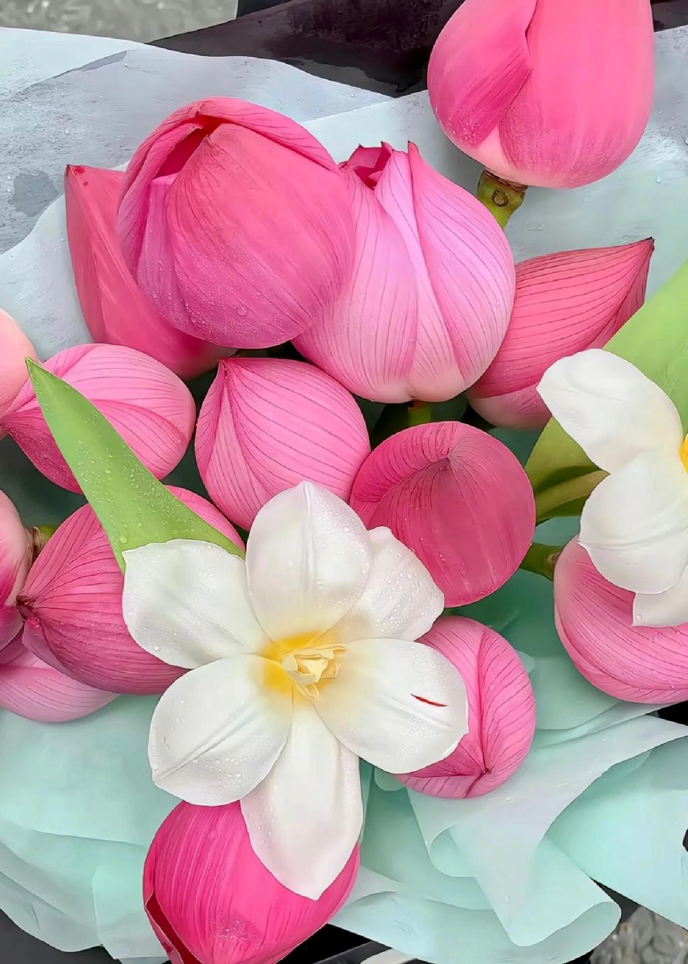 抖音短句给生活多一点阳光,抖音最火走心句子接近现实