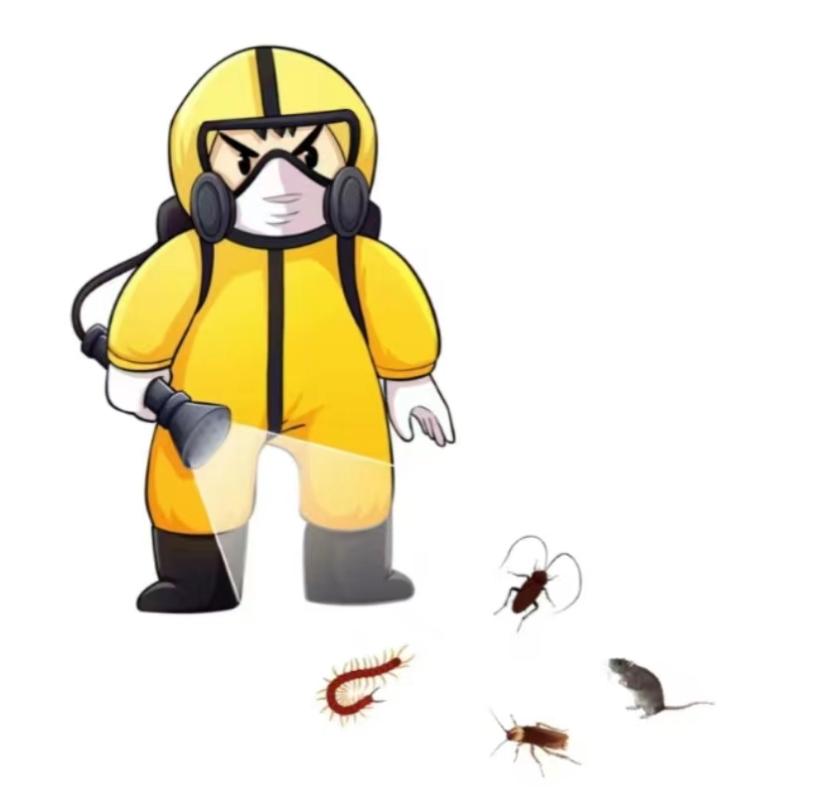 病媒生物防治消杀活动,病媒生物消杀除虫灭鼠