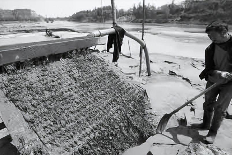 撸铁棒重现民间！给老百姓带来暴利，明令禁止背后隐藏危机