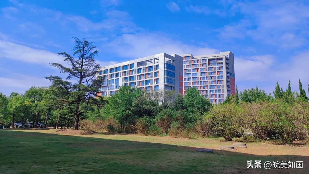 安徽大学好看的风景,高校最美秋景