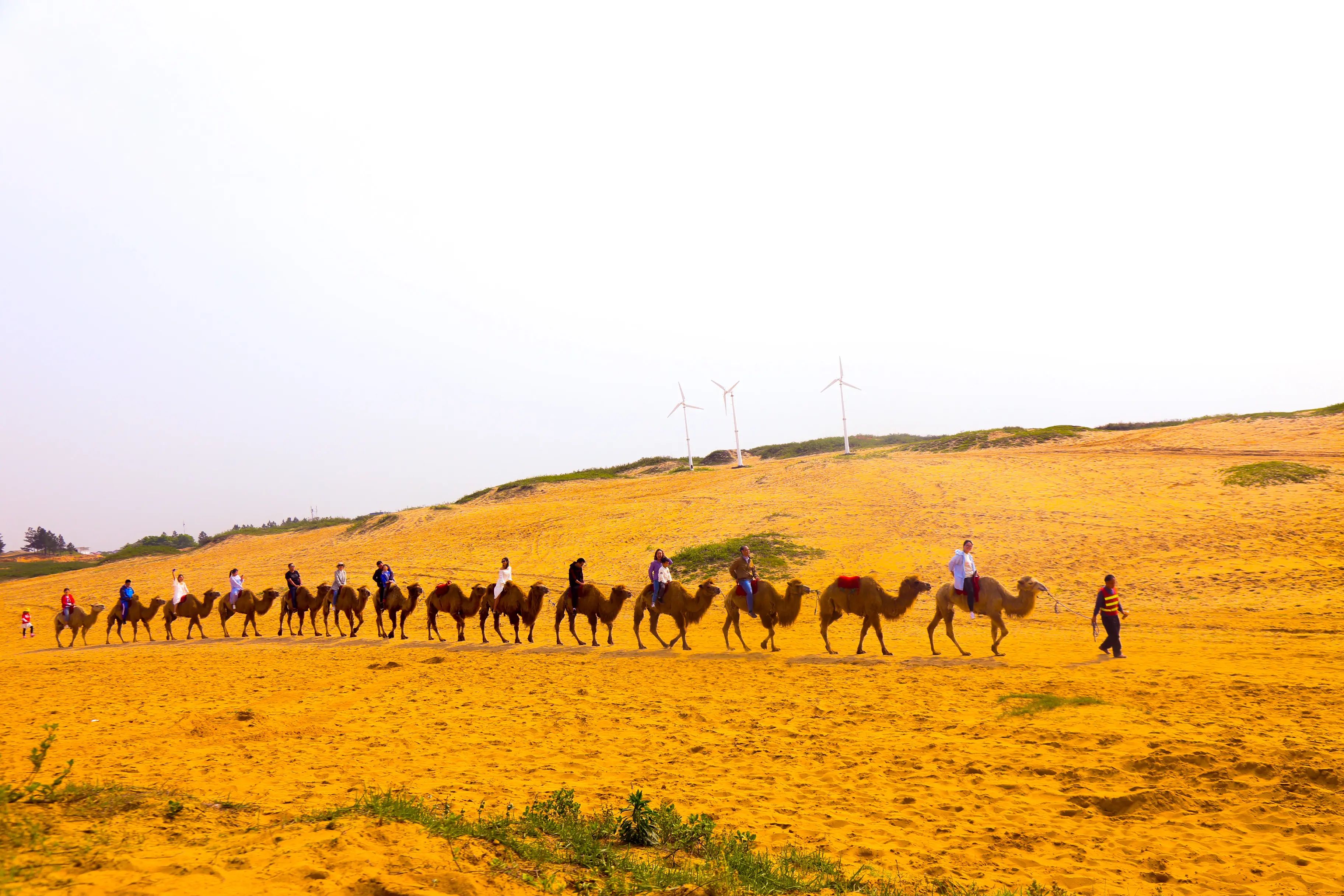 江西厚田沙漠景区攻略,南昌厚田沙漠