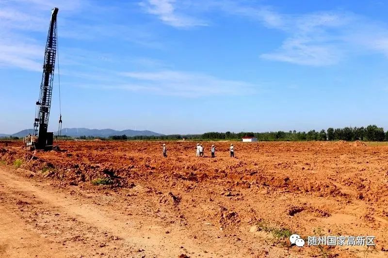 蝶变跃升是什么,蝶变跃升五大行动