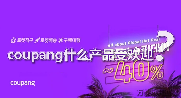韩国电商平台coupang一年能赚多少,韩国电商巨头coupang是做什么的