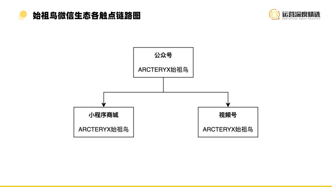 抢占细分赛道！视频号渠道中的小众品类，如何找到弯道超车机会？