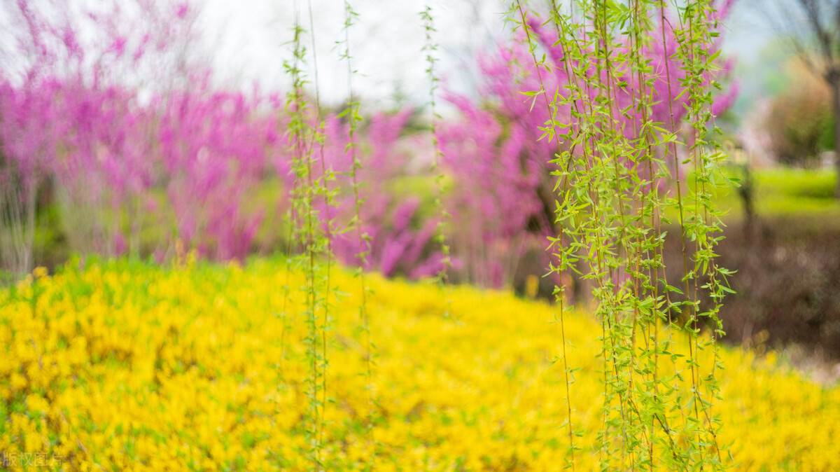河北娲皇宫路线,河北娲皇宫景区介绍
