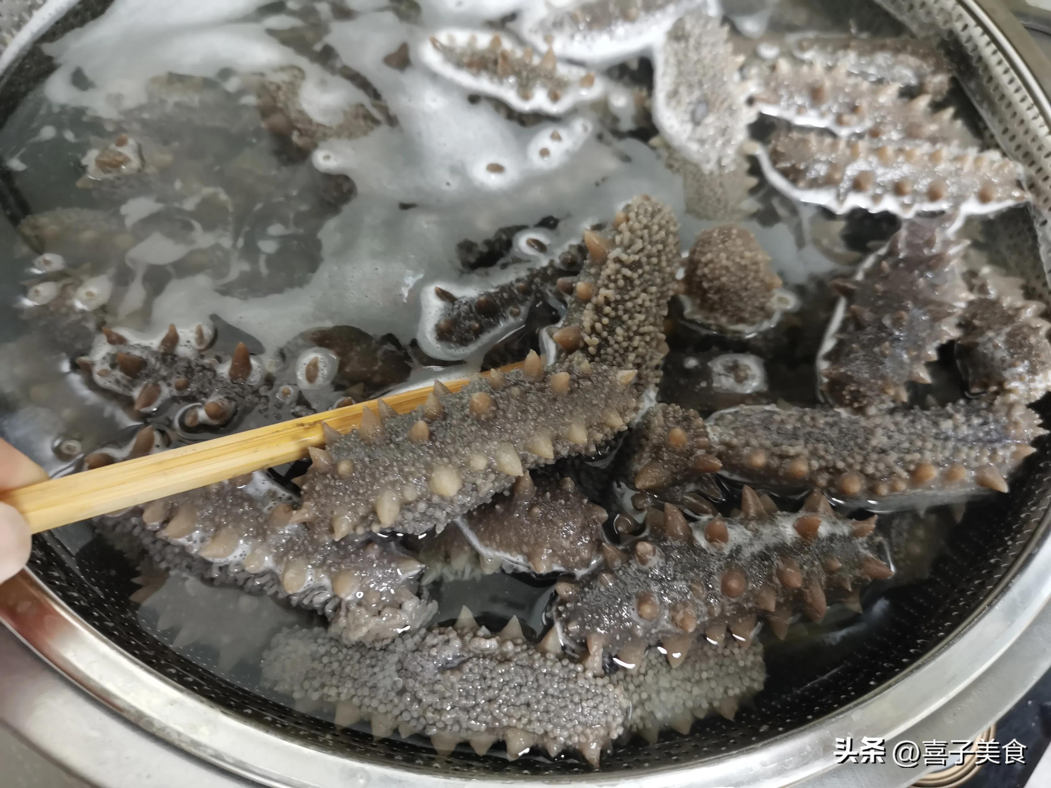 海参的正确泡发方法和时间,海参泡发的正确方法你知道吗