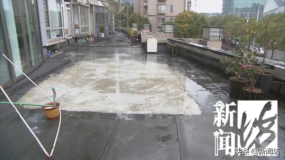 今天这个“谐音梗”…令沪上这对夫妻太有“2”了