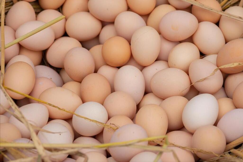 买鸡蛋是挑大的好还是小的好,买鸡蛋时买几个才不会尴尬
