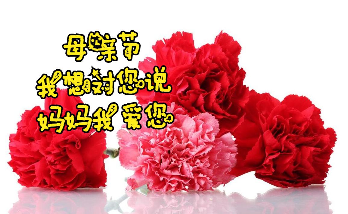 母亲节母爱胜过鲜花的美,感恩母亲节世界上唯有母爱最无私